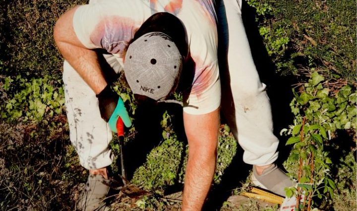 Gartenblog: Bob baut an