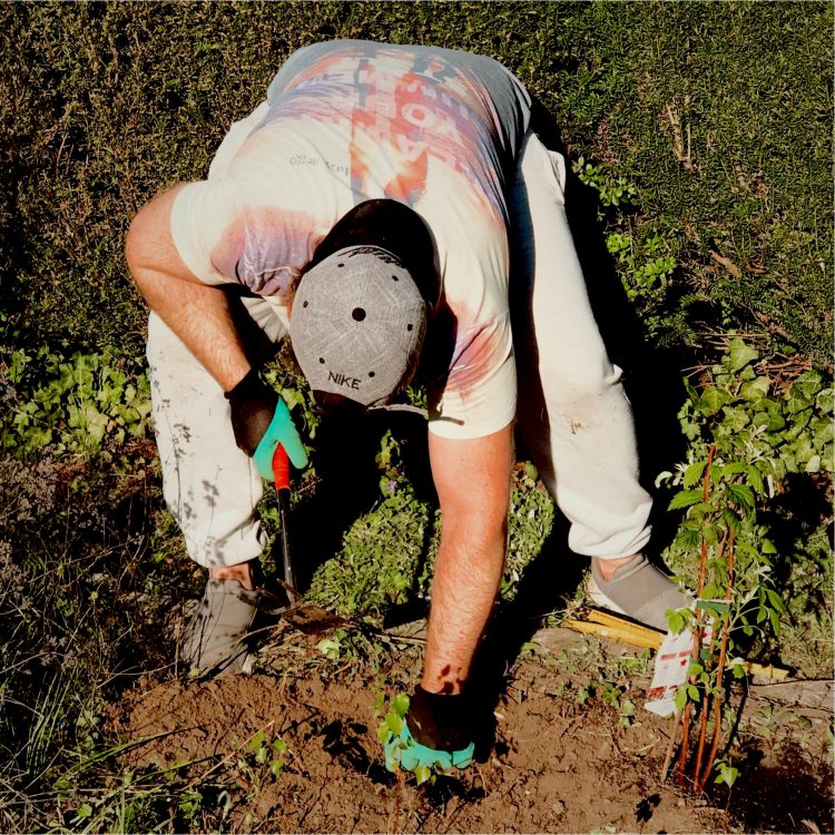 Gartenblog: Bob baut an