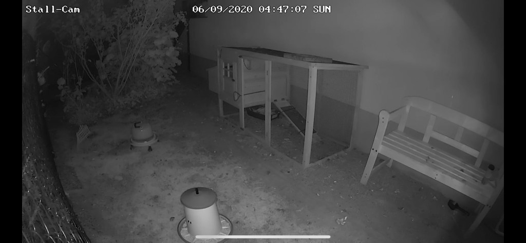 Hühnerstall Webcam Kamera Hühnerstall nachts Hühnergehege in der Nacht