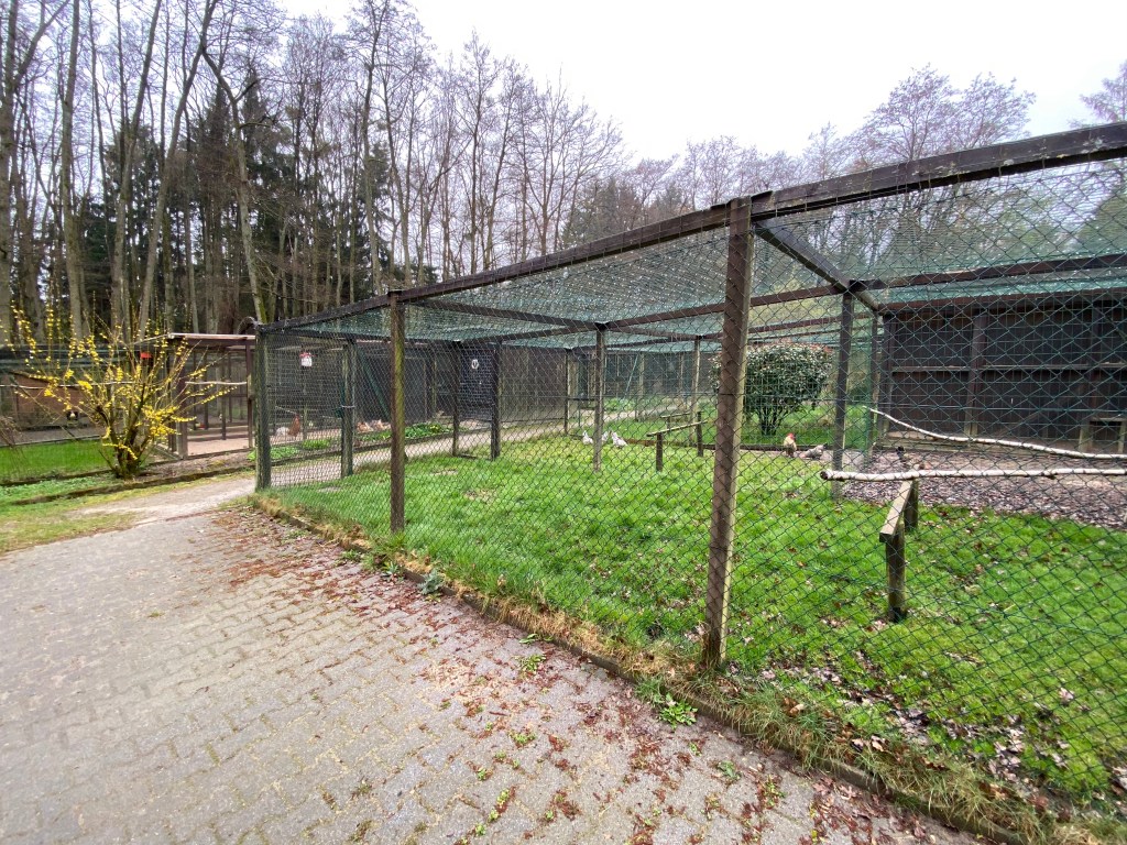 Hühnergehege, überdachter Auslauf 