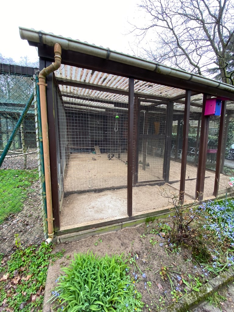 überdachter Hühnerstall 